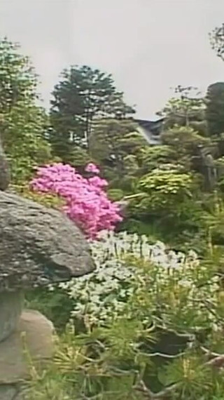 Xv-151: 借金 (Erojapanese による英語字幕)